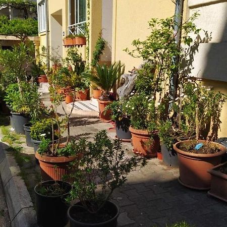 Senka Apartment บุดวา ภายนอก รูปภาพ